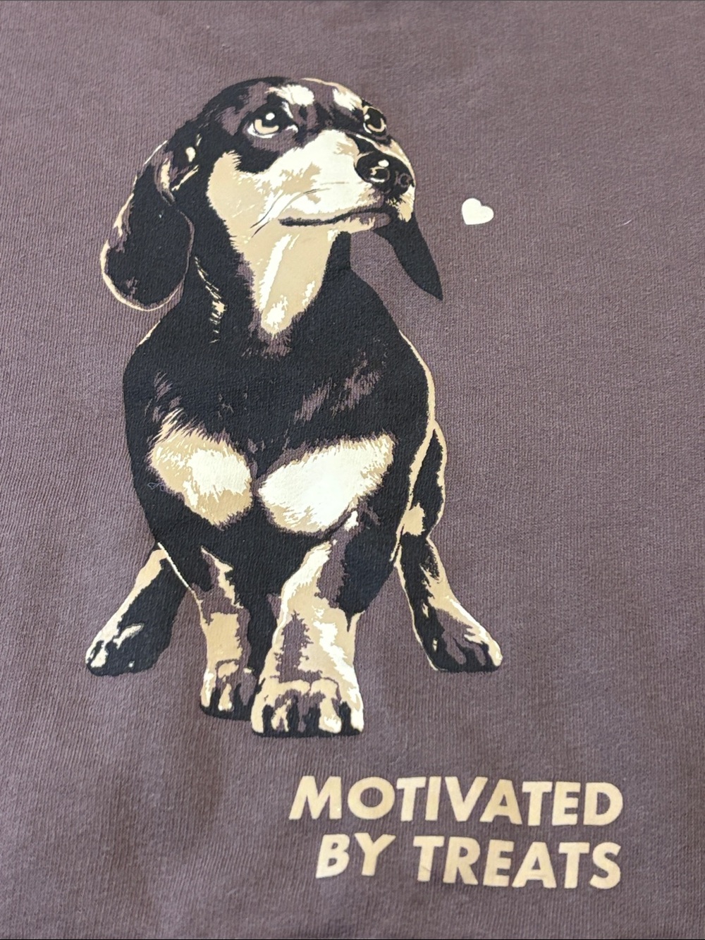 Wild Fable “Motivated by Treats” Dachshund Hoodie - Picture 7 of 11